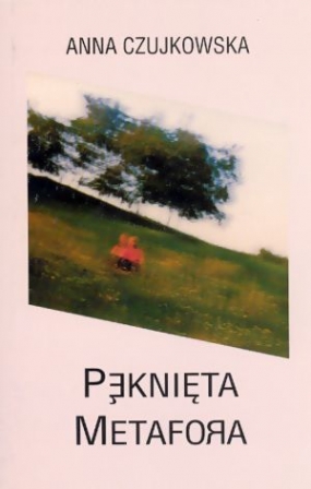 Pęknięta metafora